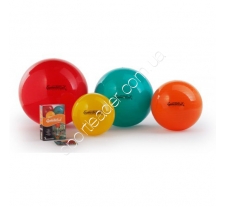 Мяч Ledragomma Gymnastik Ball Standard 20.6558 купить в интернет магазине СпортЛидер