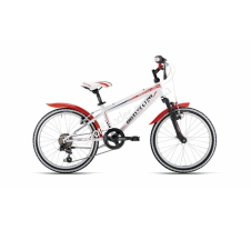Велосипед Bottecchia 20 MTB 6S Boy 30022057 купить в интернет магазине СпортЛидер