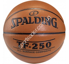 Мяч баскетбольный Spalding TF-250  купить в интернет магазине СпортЛидер