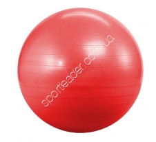 Мяч для фитнеса Landfit Fitness Ball 55 см купить в интернет магазине СпортЛидер