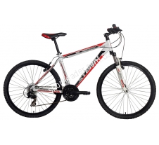 Велосипед Energy Stern 15ENR1R018 купить в интернет магазине СпортЛидер