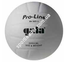 Мяч волейбольный Gala Pro-Line BV5211SAE купить в интернет магазине СпортЛидер