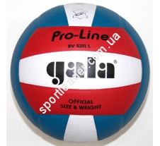 Мяч волейбольный Gala Pro-Line BV5011SAE купить в интернет магазине СпортЛидер