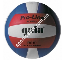 Мяч волейбольный Gala Pro-Line BV4051SAE купить в интернет магазине СпортЛидер