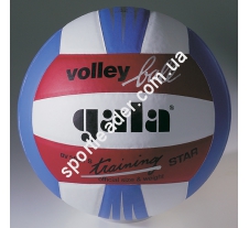 Мяч волейбольный Gala Training BV5531SBE купить в интернет магазине СпортЛидер
