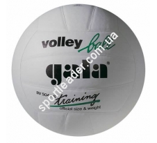 Мяч волейбольный Gala Training BV5041SB*E купить в интернет магазине СпортЛидер
