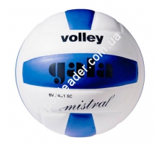 Мяч волейбольный Gala Mistral BV5401SCE купить в интернет магазине СпортЛидер